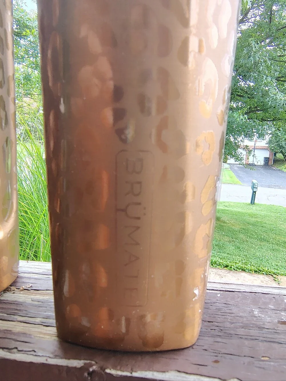 BruMate Rehydration & Multishaker Set Gold Leopard Cheetah Print 2Pc